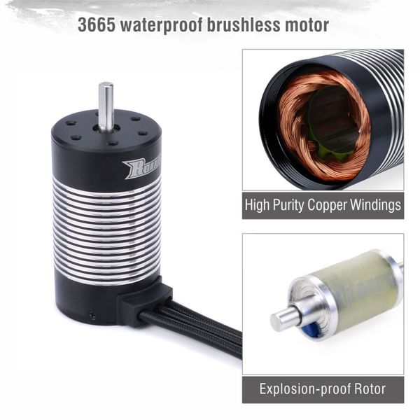 Surpass Hobby 3665 4pol BL WP Sensorløs 3100KV 5mm 